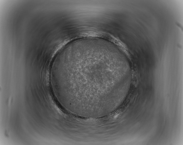 X0000097500012200802291607