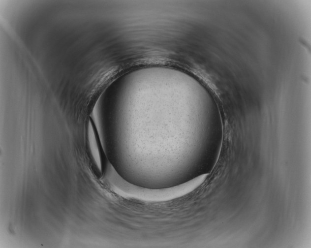 X0000097500013200802291607
