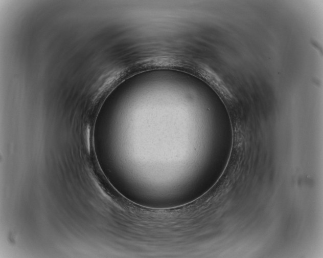 X0000097500014200802291607