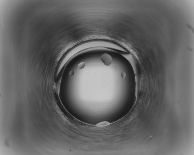 X0000097500015200802291607