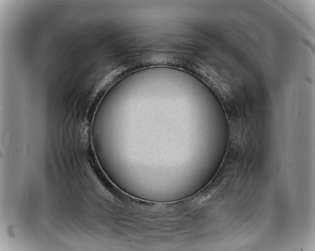 X0000097500016200802291607