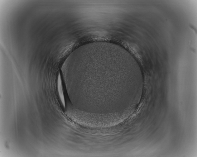 X0000097500017200802291607