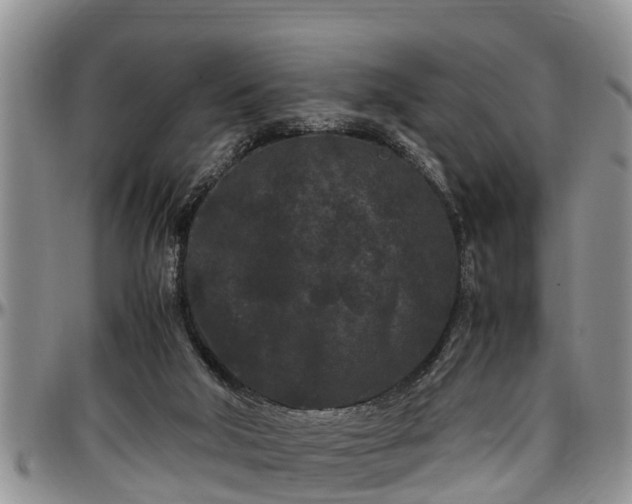 X0000097500018200802291607