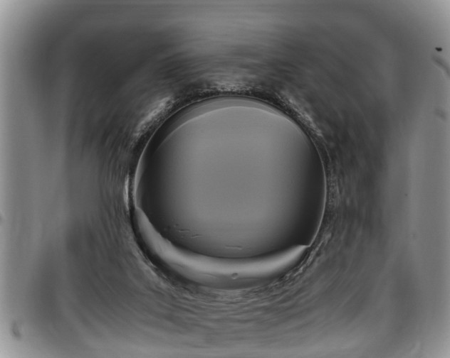 X0000097500019200802291607