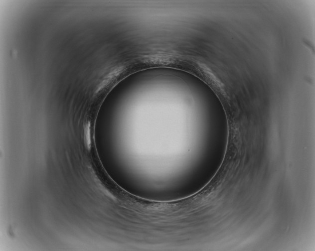 X0000097500020200802291607