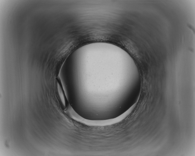 X0000097500021200802291607