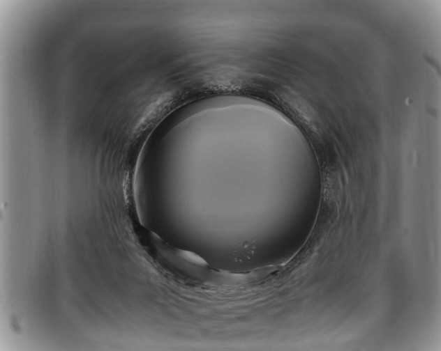 X0000097500023200802291607