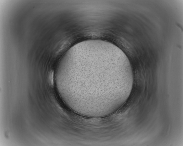 X0000097500024200802291607