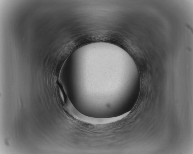 X0000097500025200802291607