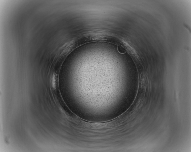 X0000097500026200802291607