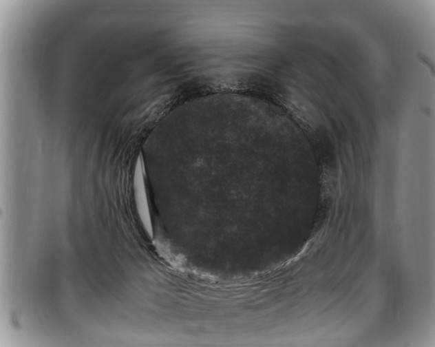 X0000097500029200802291607