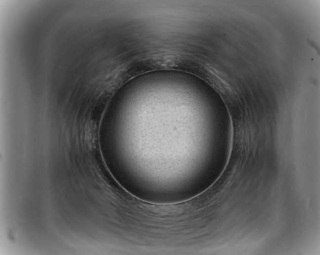 X0000097500030200802291607