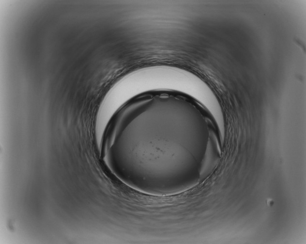 X0000097500031200802291607