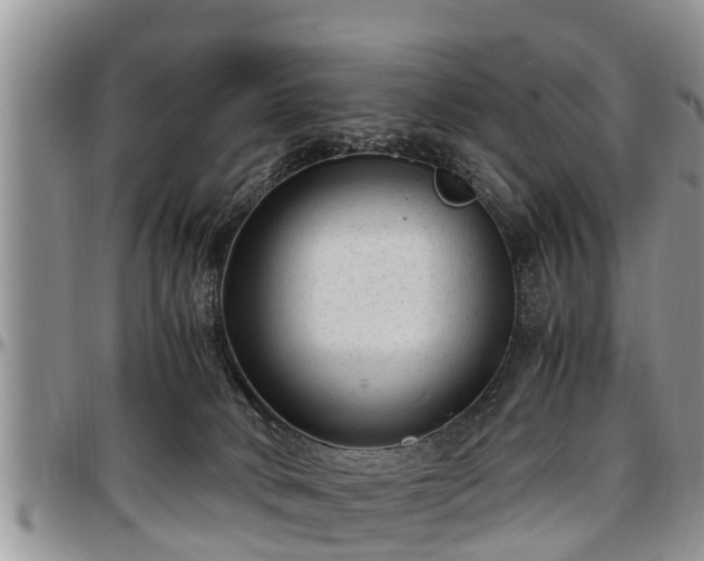 X0000097500034200802291607