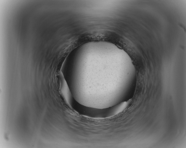 X0000097500037200802291607