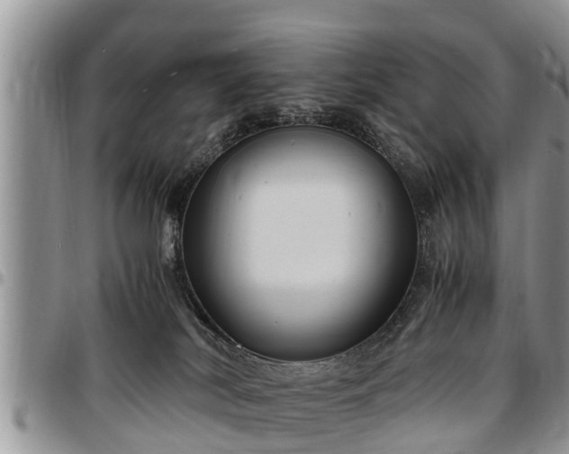 X0000097500038200802291607