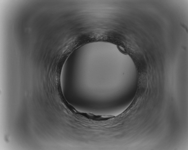 X0000097500039200802291607
