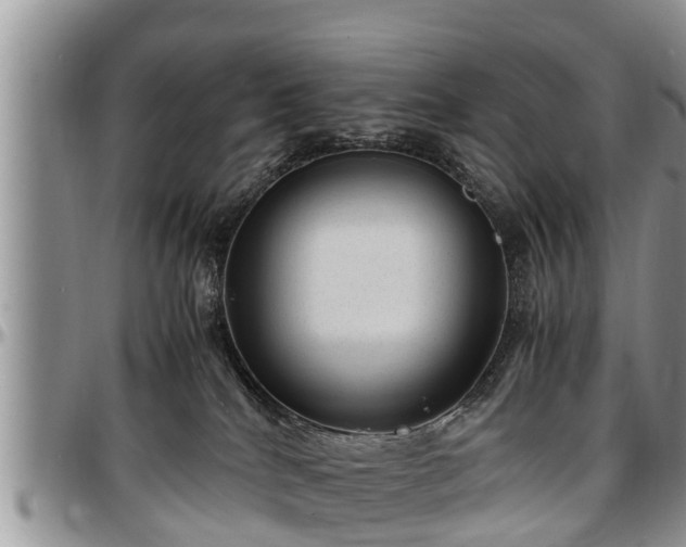 X0000097500040200802291607