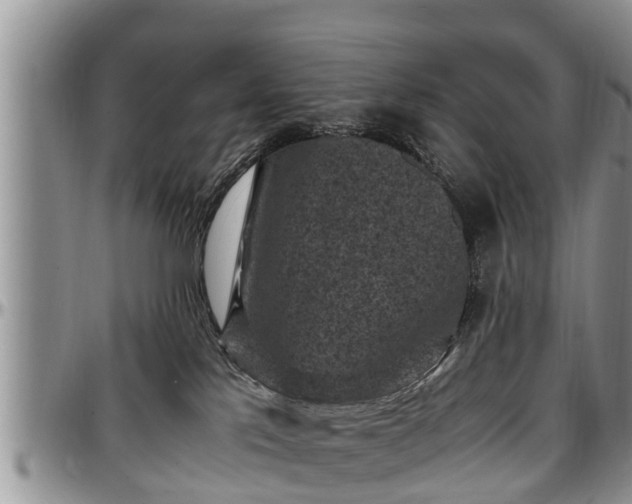 X0000097500041200802291607