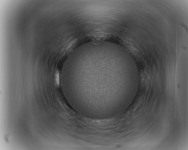 X0000097500042200802291607