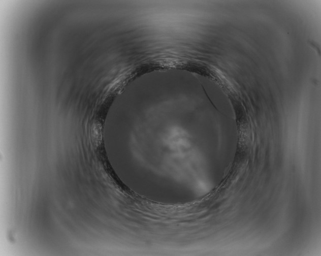 X0000097500043200802291607