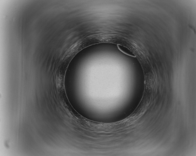 X0000097500044200802291607