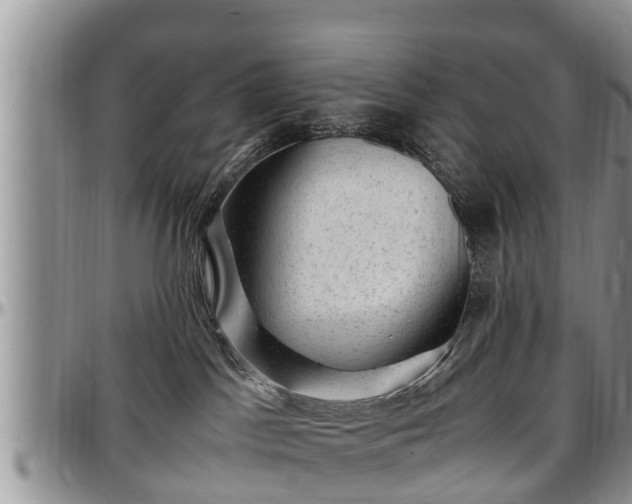 X0000097500045200802291607