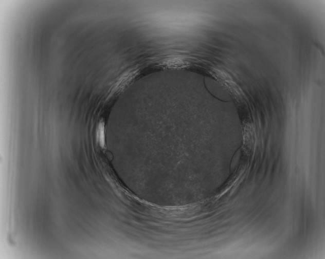X0000097500046200802291607