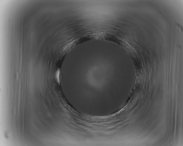 X0000097500047200802291607