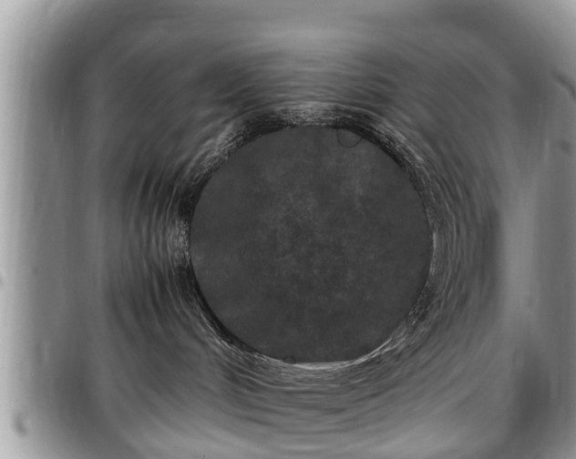 X0000097500048200802291607