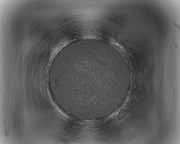 X0000097500049200802291606