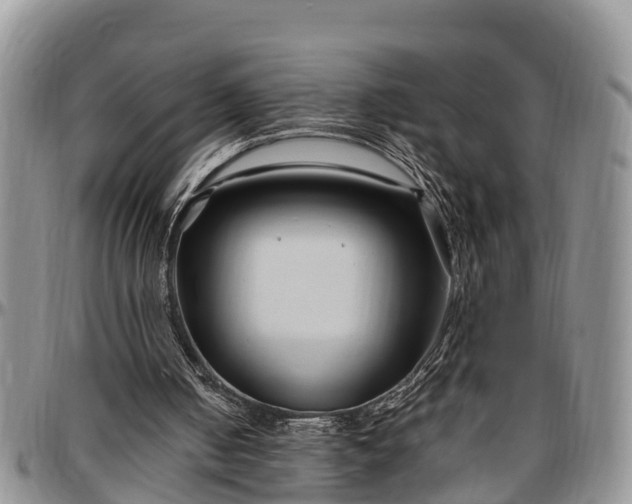 X0000097500050200802291606