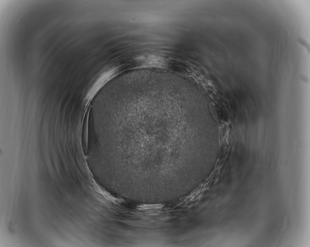 X0000097500051200802291606