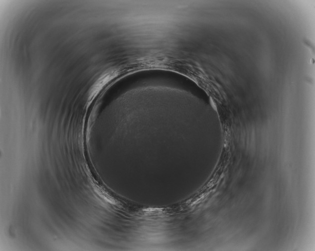 X0000097500052200802291606