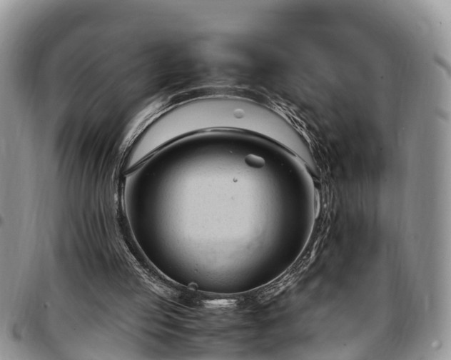 X0000097500053200802291606