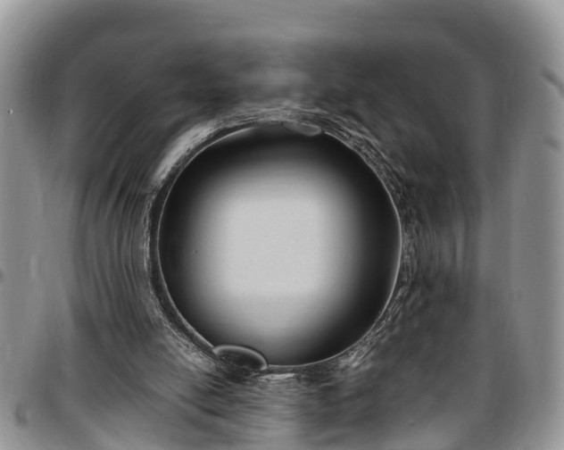 X0000097500054200802291606