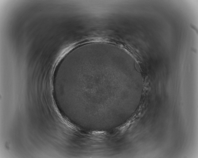 X0000097500055200802291606