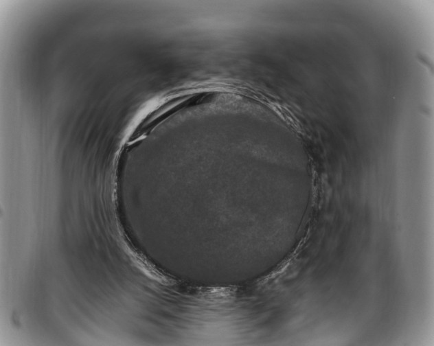 X0000097500056200802291606