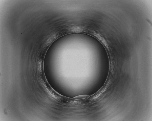 X0000097500057200802291606