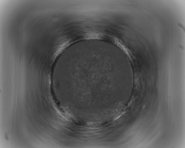 X0000097500059200802291606