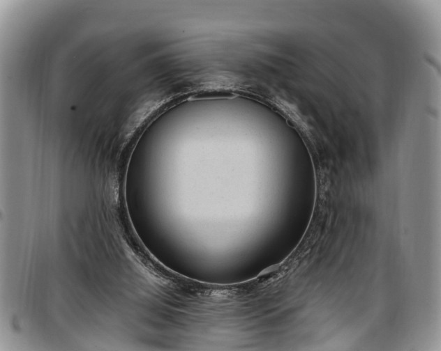 X0000097500060200802291606