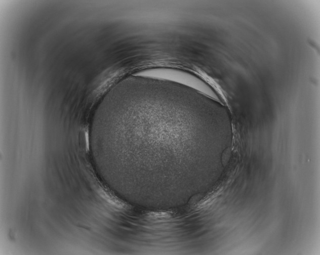 X0000097500061200802291606