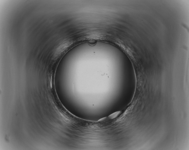 X0000097500062200802291606