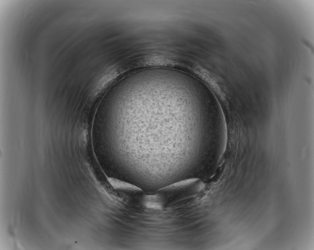 X0000097500063200802291606