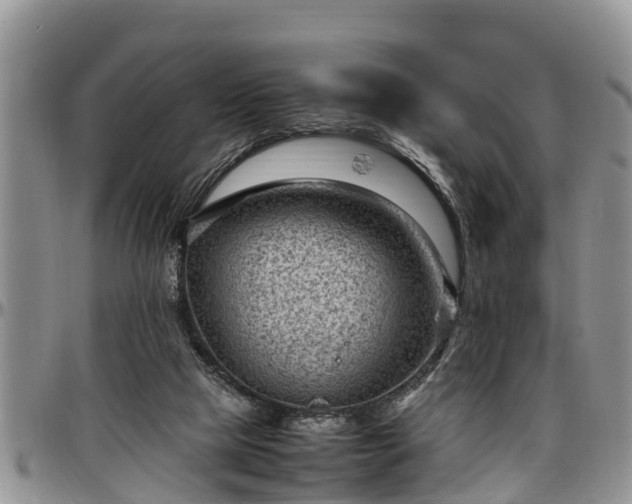 X0000097500065200802291606