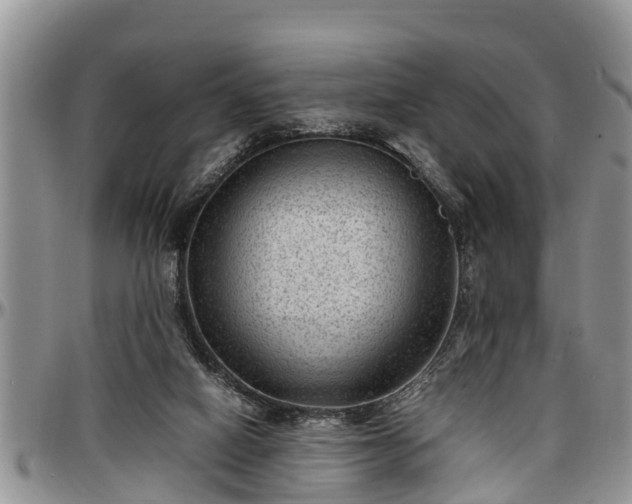 X0000097500066200802291606