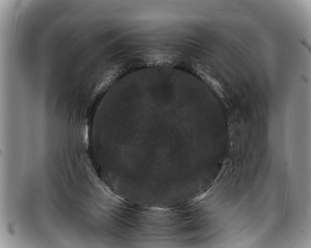 X0000097500067200802291606