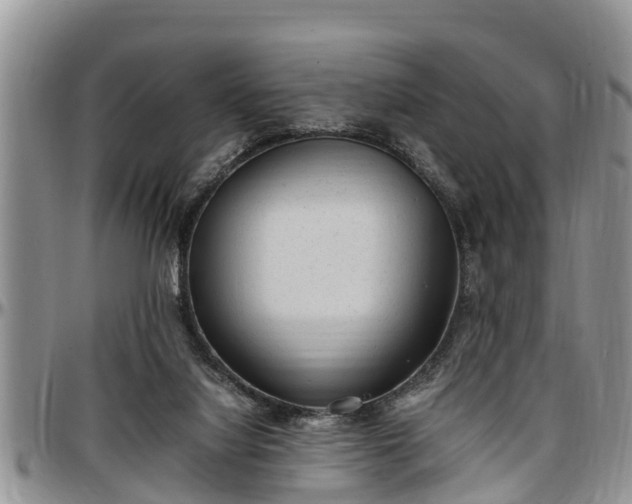 X0000097500068200802291606