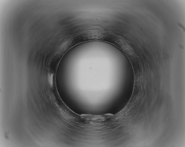 X0000097500070200802291606