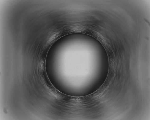 X0000097500071200802291606